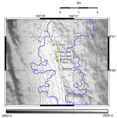 Animal Community Dynamics at Senescent and Active Vents at the 9°N East Pacific Rise After a Volcanic Eruption